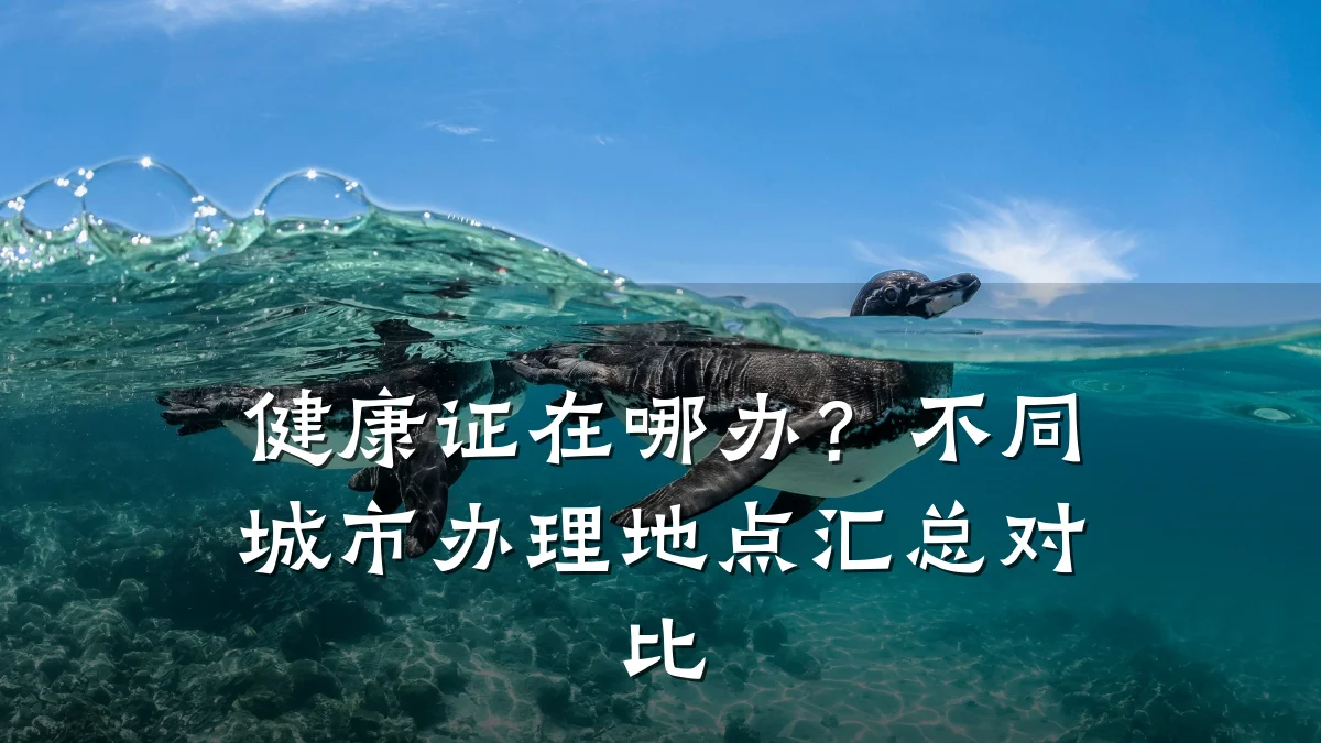 健康证在哪办?不同城市办理地点汇总对比