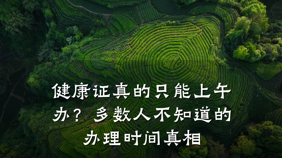 健康证真的只能上午办?多数人不知道的办理时间真相