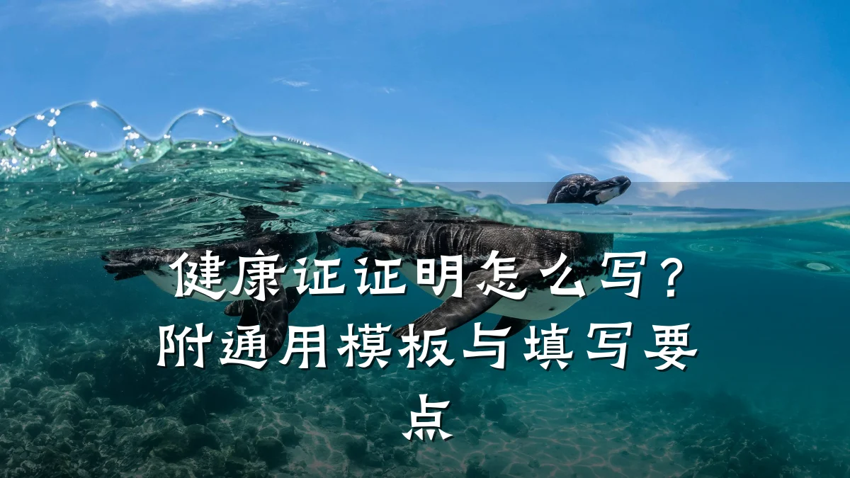 健康证证明怎么写?附通用模板与填写要点