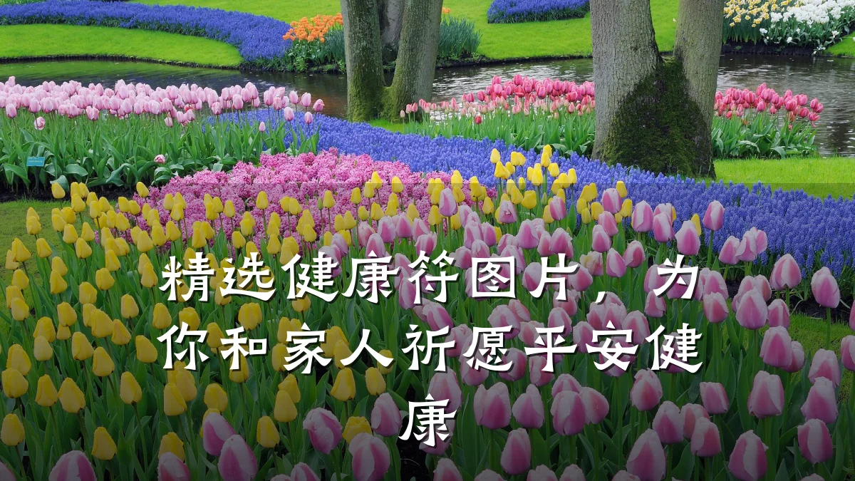 精选健康符图片,为你和家人祈愿平安健康