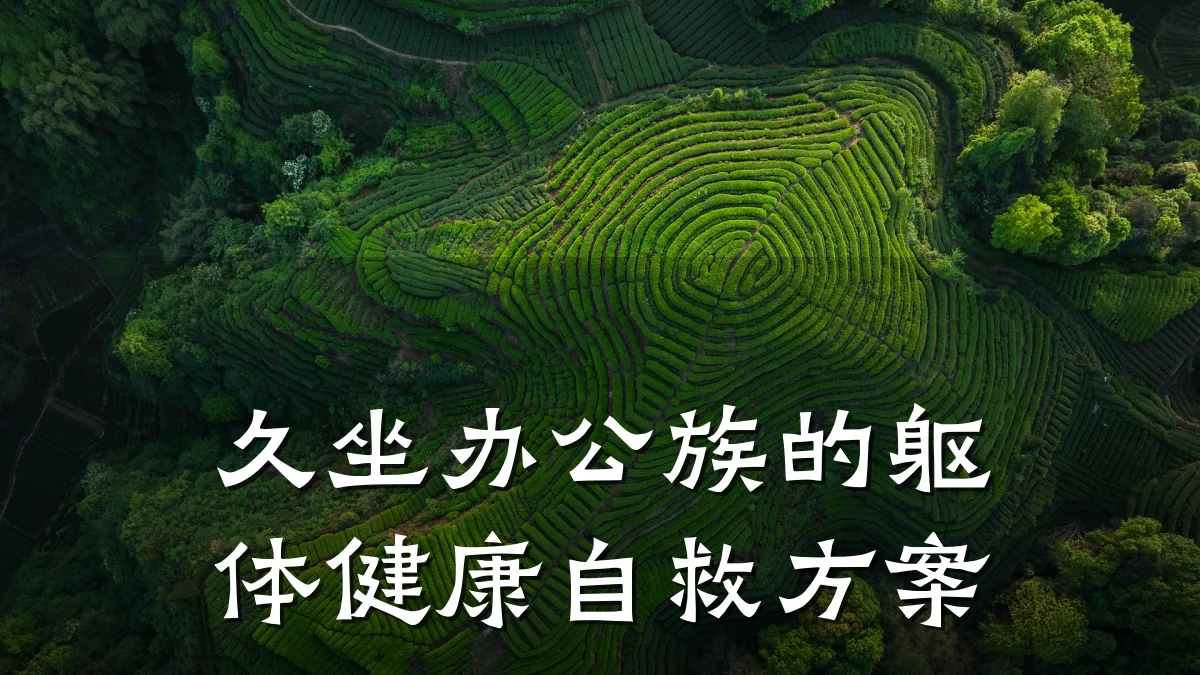 久坐办公族的躯体健康自救方案