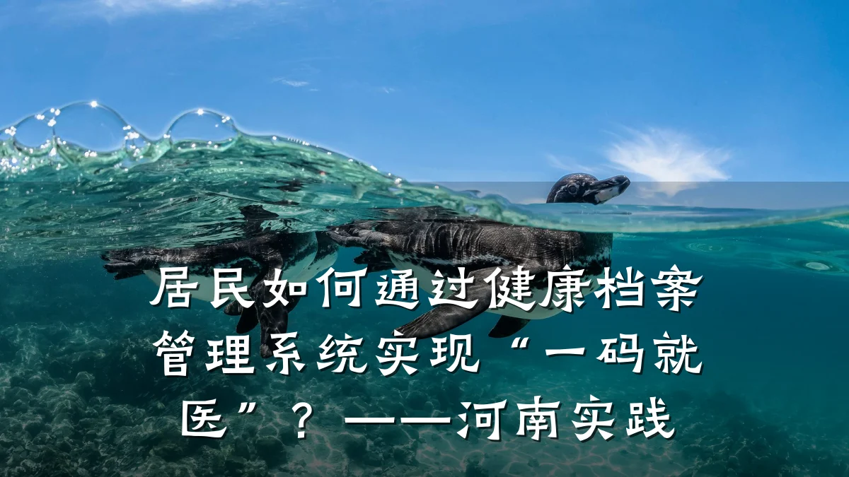 居民如何通过健康档案管理系统实现“一码就医”?——河南实践
