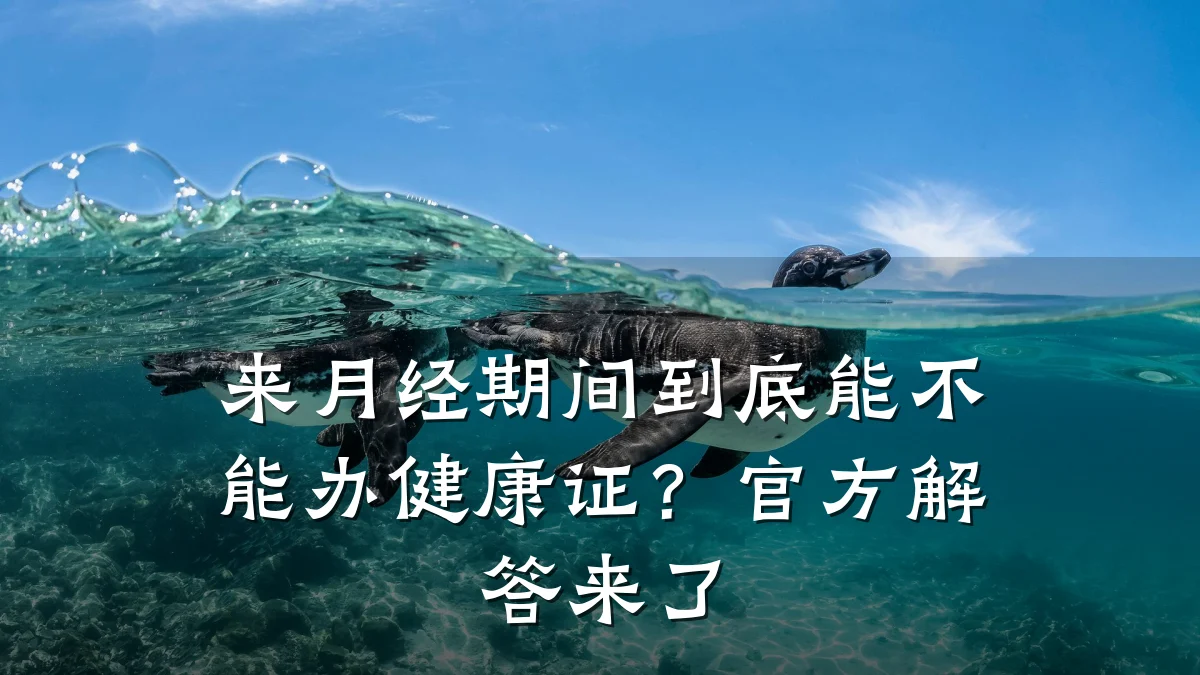 来月经期间到底能不能办健康证?官方解答来了