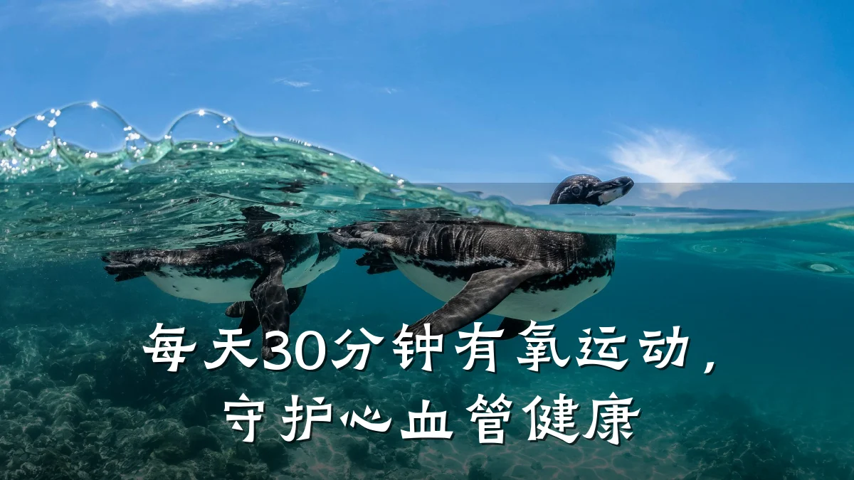 每天30分钟有氧运动,守护心血管健康