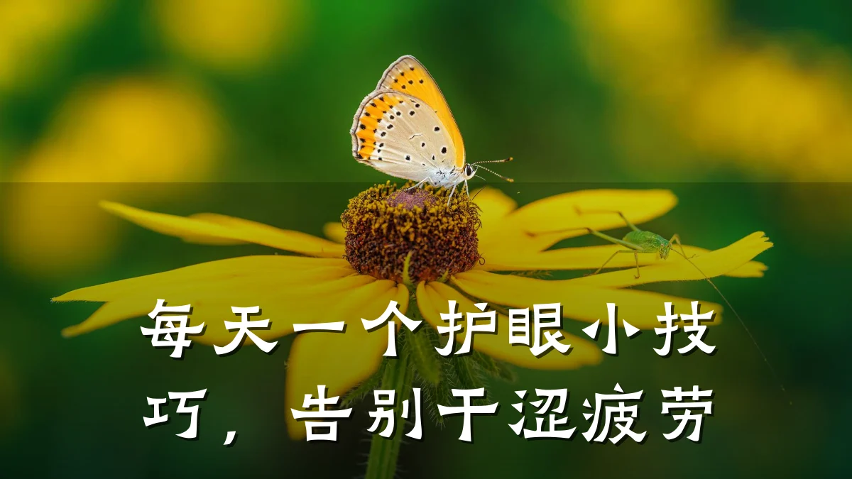 每天一个护眼小技巧,告别干涩疲劳