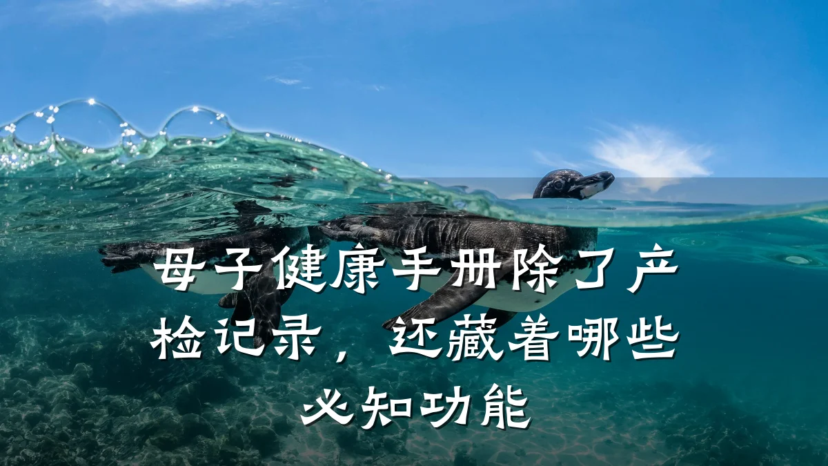 母子健康手册除了产检记录,还藏着哪些必知功能