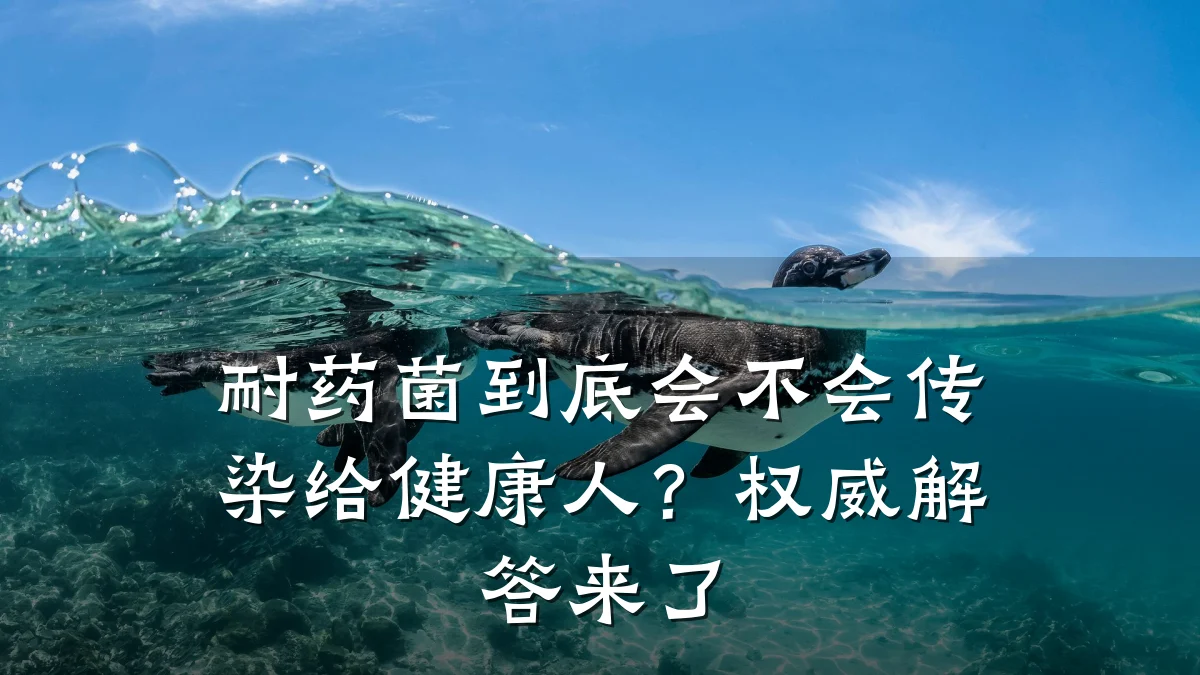 耐药菌到底会不会传染给健康人?权威解答来了
