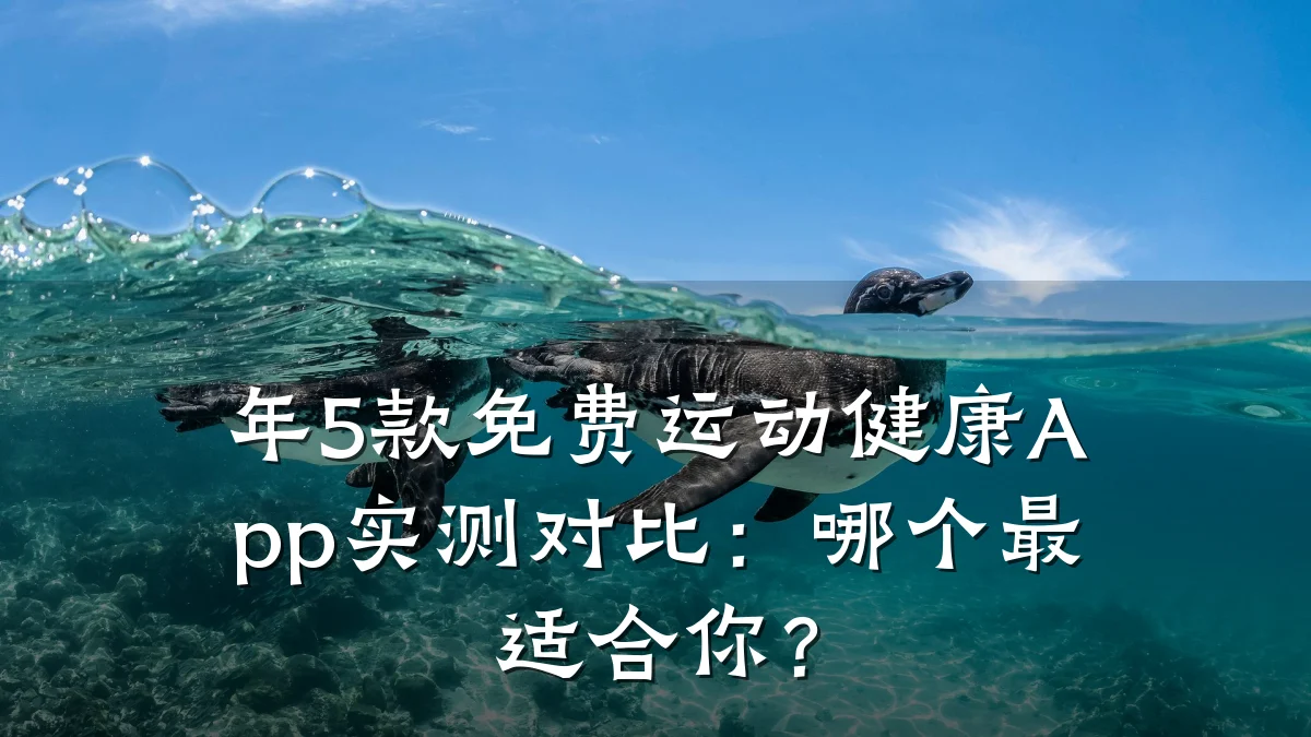 年5款免费运动健康App实测对比:哪个最适合你?