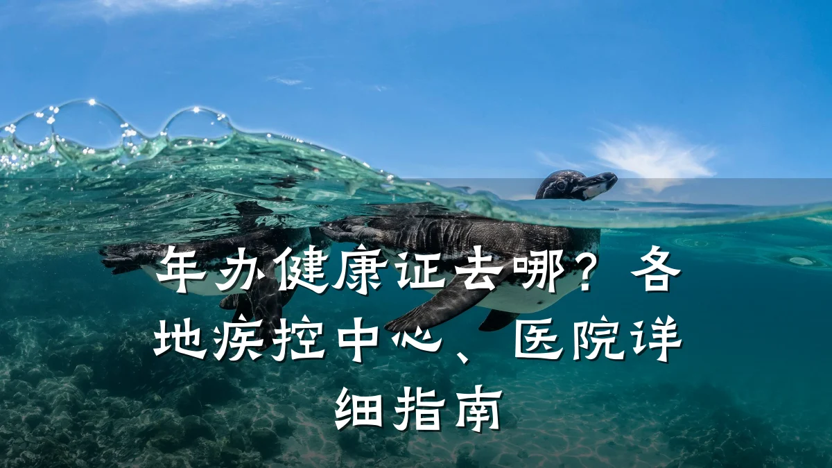 年办健康证去哪?各地疾控中心、医院详细指南