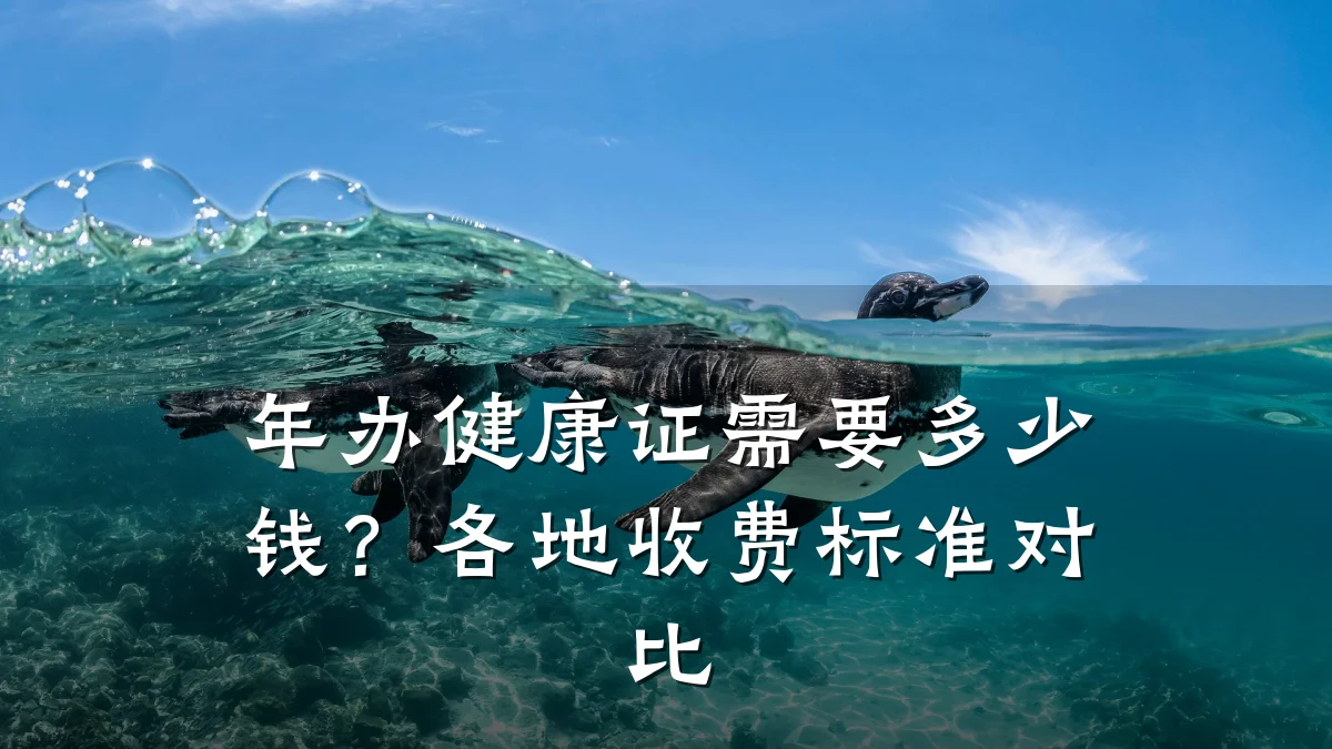 年办健康证需要多少钱?各地收费标准对比