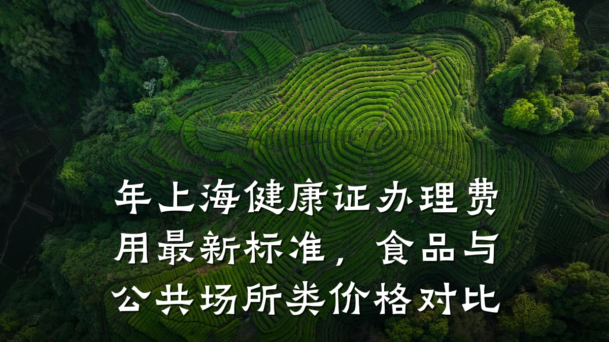 年上海健康证办理费用最新标准，食品与公共场所类价格对比