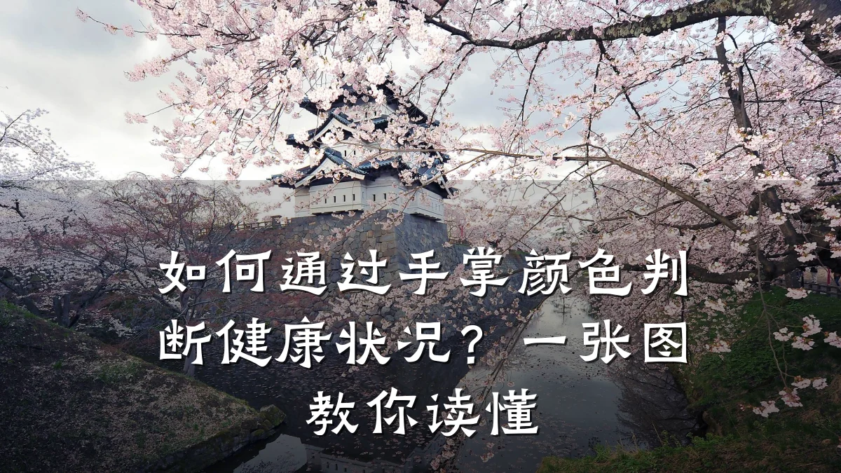 如何通过手掌颜色判断健康状况?一张图教你读懂