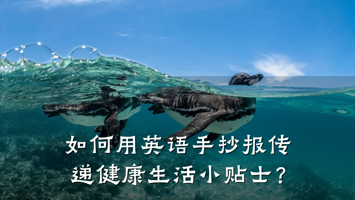 如何用英语手抄报传递健康生活小贴士?