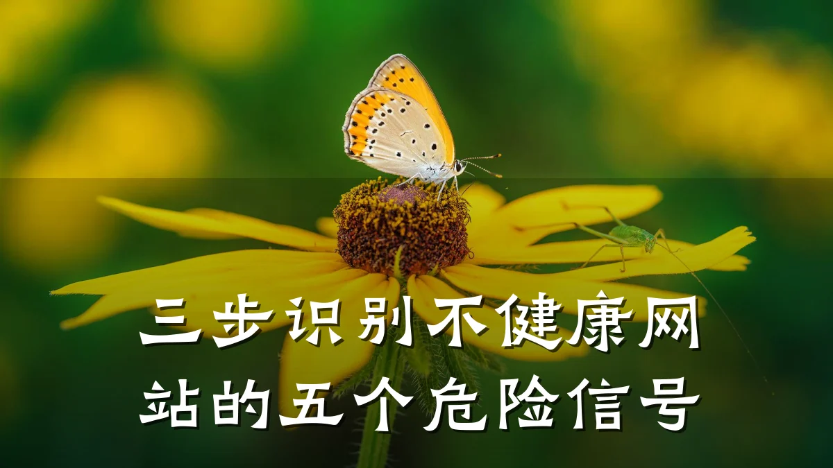 三步识别不健康网站的五个危险信号