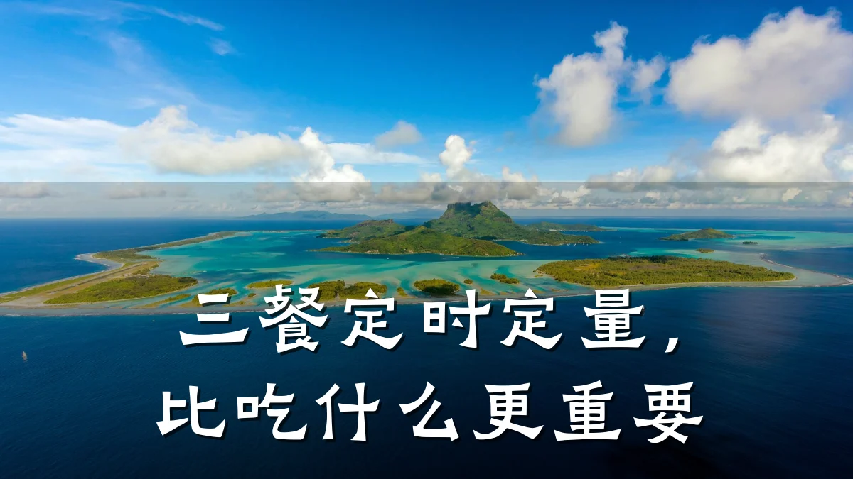 三餐定时定量,比吃什么更重要