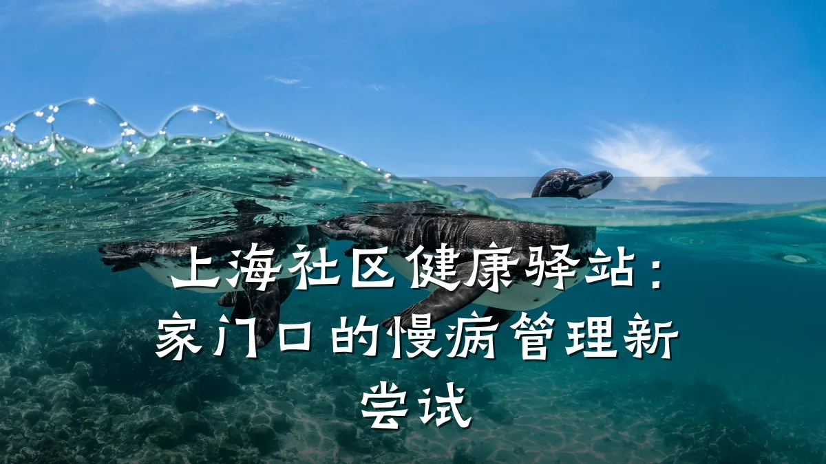 上海社区健康驿站：家门口的慢病管理新尝试