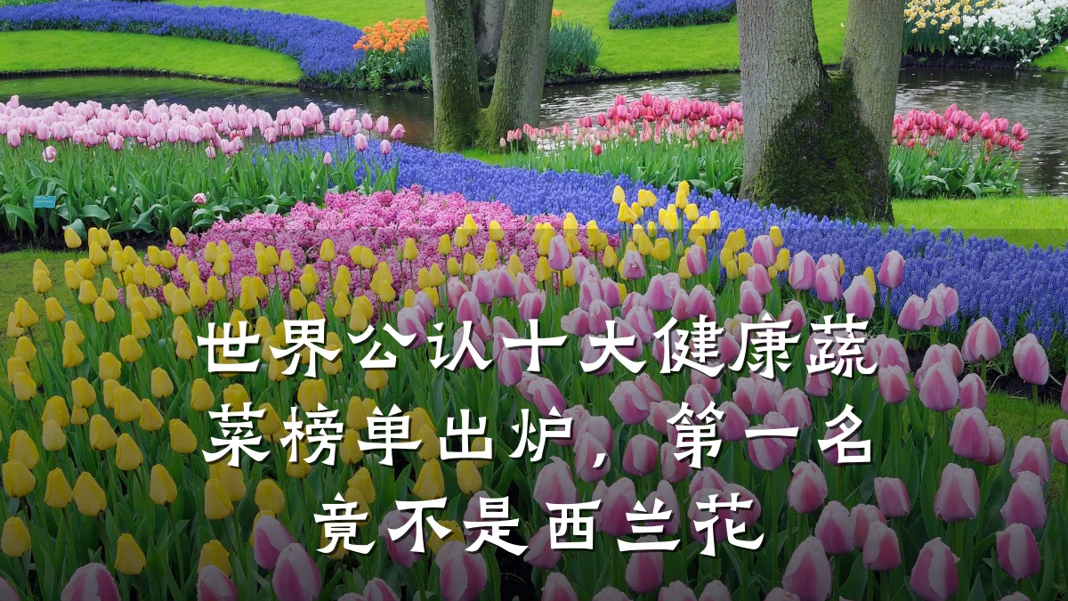 世界公认十大健康蔬菜榜单出炉,第一名竟不是西兰花