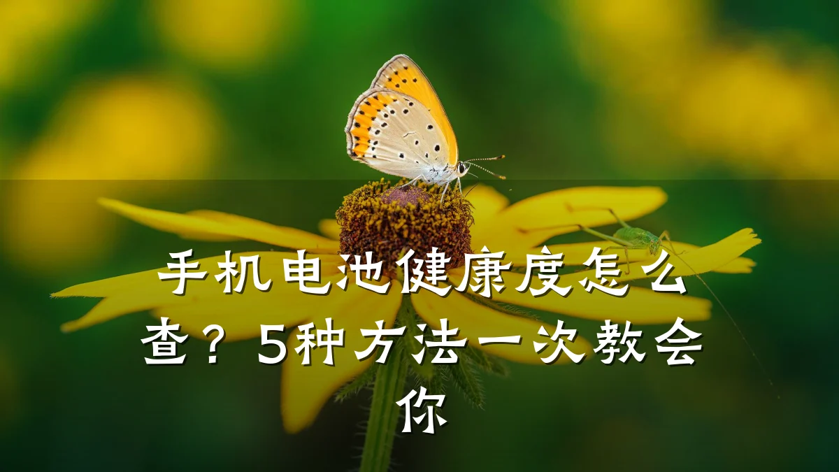 手机电池健康度怎么查?5种方法一次教会你