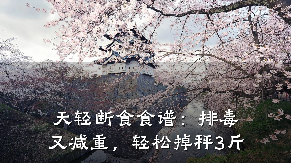 天轻断食食谱:排毒又减重,轻松掉秤3斤