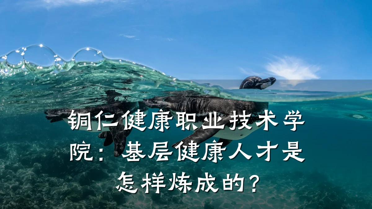 铜仁健康职业技术学院:基层健康人才是怎样炼成的?