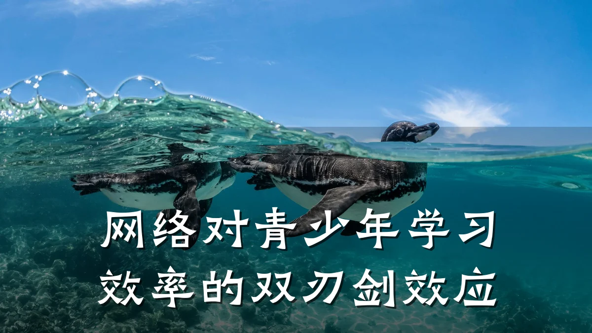 网络对青少年学习效率的双刃剑效应