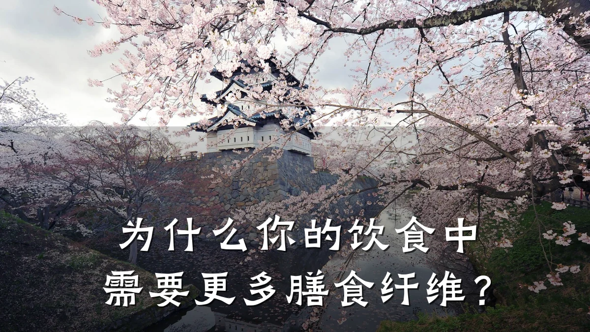 为什么你的饮食中需要更多膳食纤维?