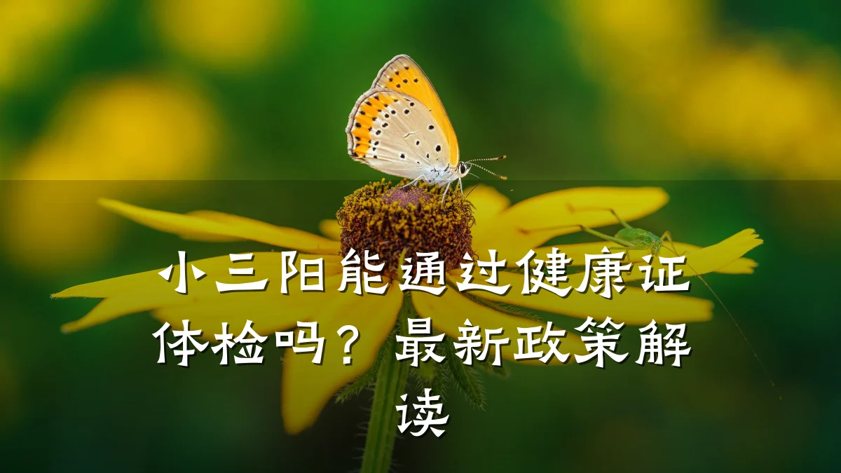 小三阳能通过健康证体检吗?最新政策解读