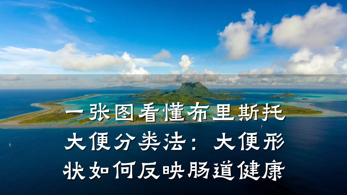 一张图看懂布里斯托大便分类法:大便形状如何反映肠道健康