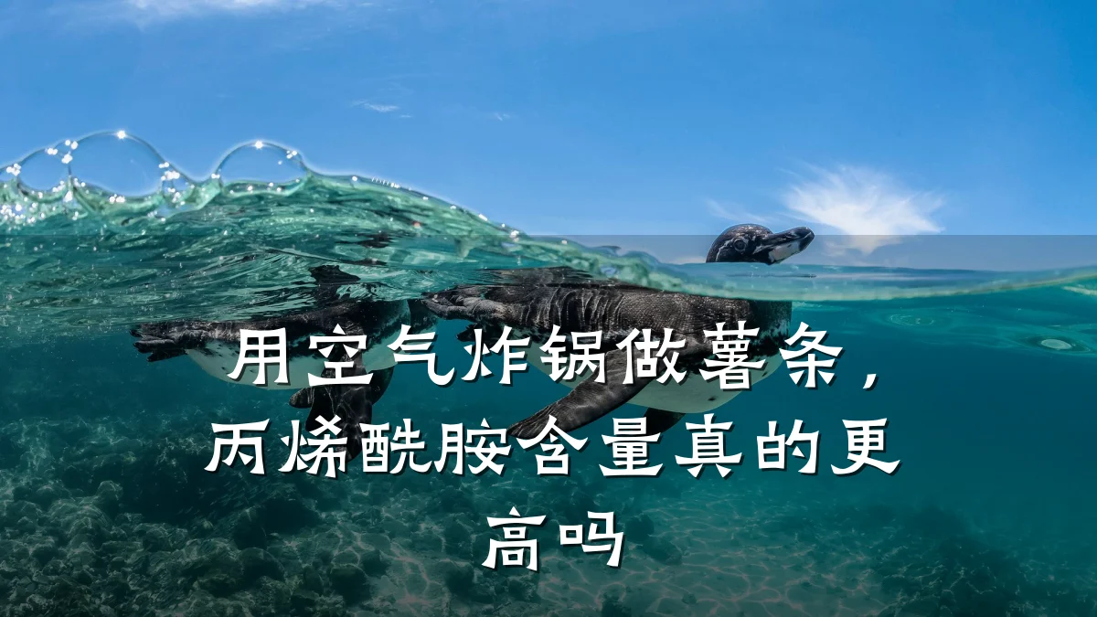 用空气炸锅做薯条,丙烯酰胺含量真的更高吗