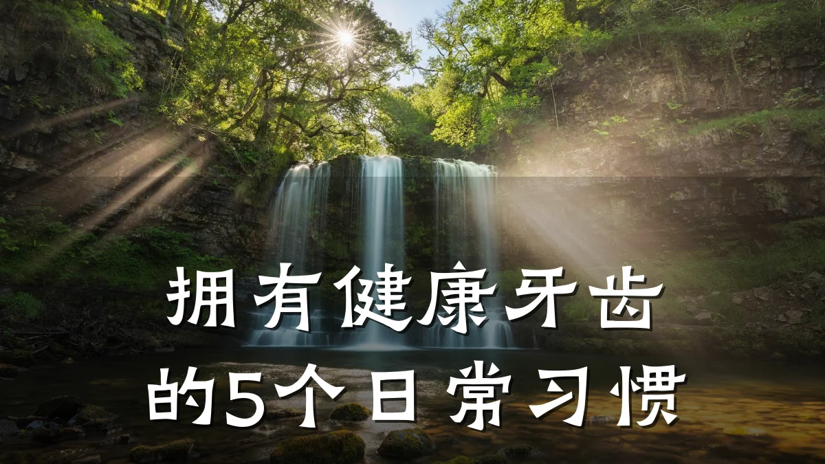 拥有健康牙齿的5个日常习惯