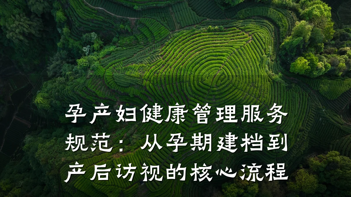 孕产妇健康管理服务规范:从孕期建档到产后访视的核心流程