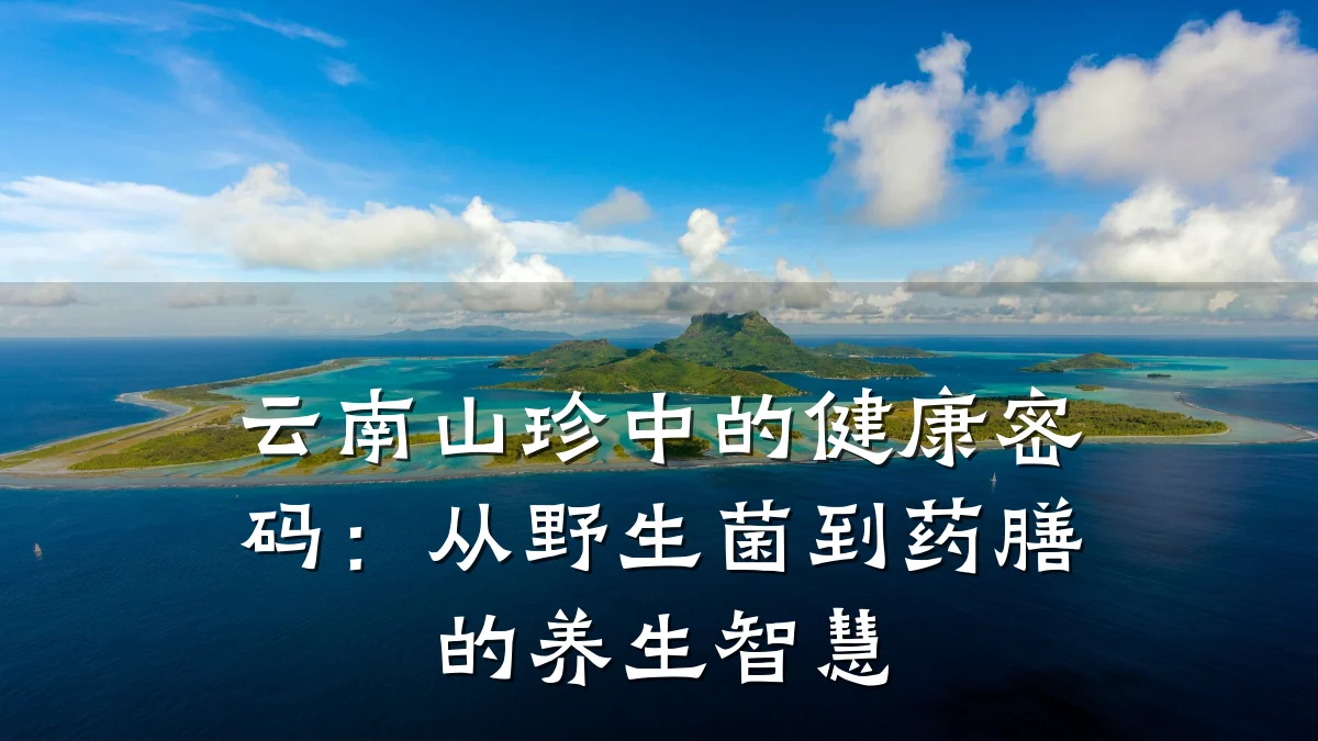 云南山珍中的健康密码:从野生菌到药膳的养生智慧