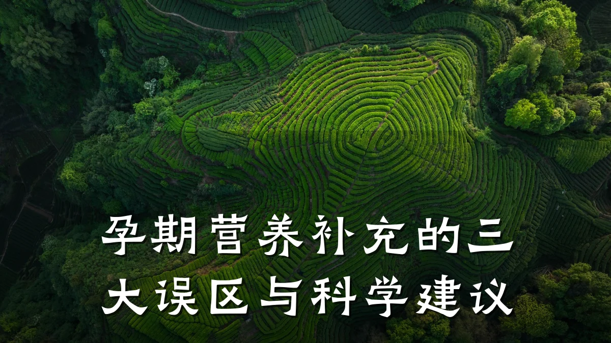 孕期营养补充的三大误区与科学建议