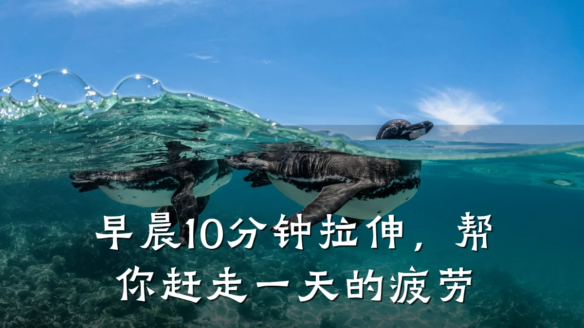 早晨10分钟拉伸,帮你赶走一天的疲劳