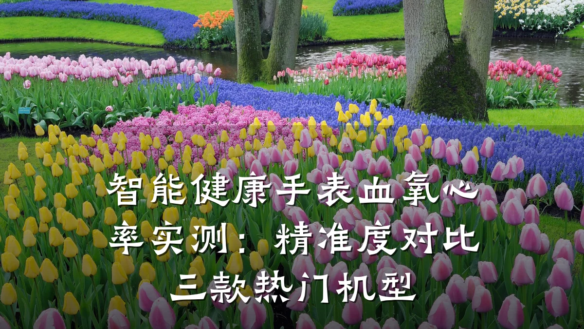智能健康手表血氧心率实测:精准度对比三款热门机型