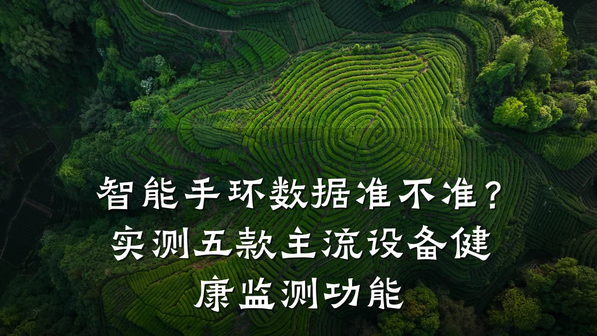 智能手环数据准不准?实测五款主流设备健康监测功能