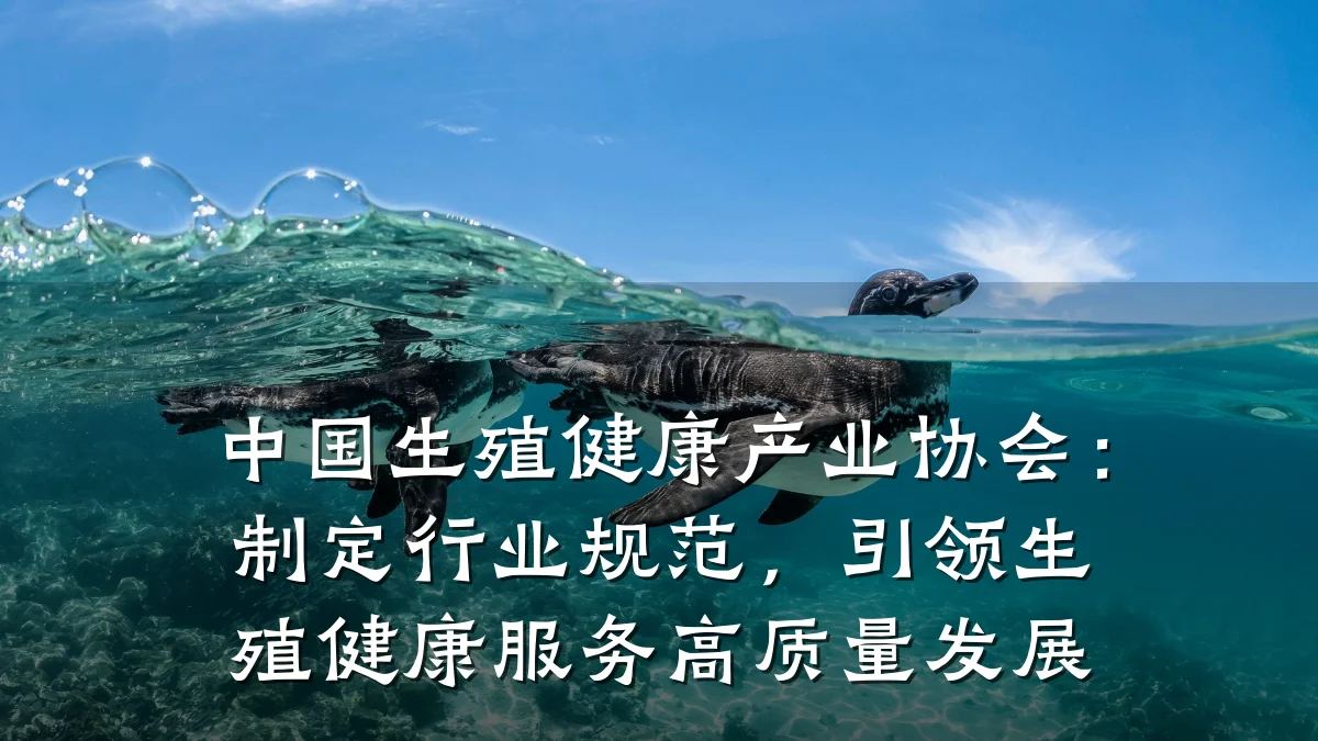 中国生殖健康产业协会:制定行业规范,引领生殖健康服务高质量发展