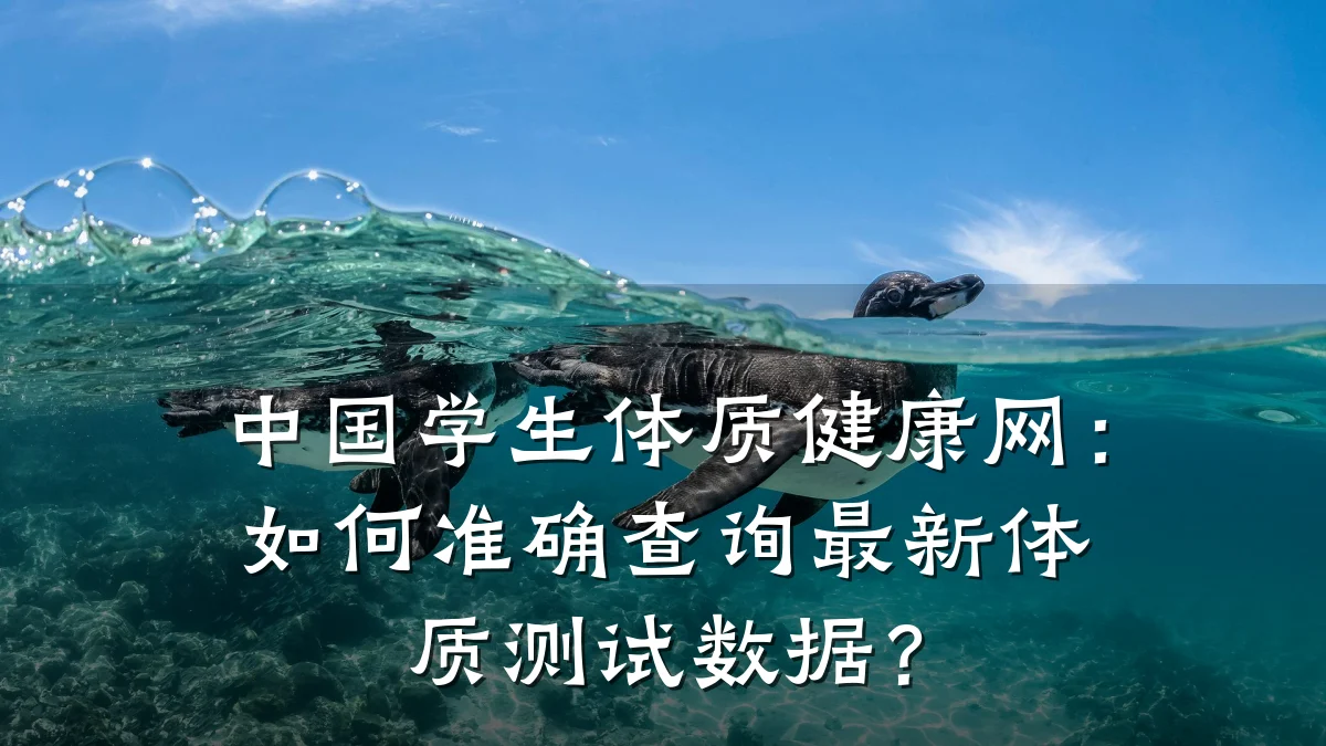 中国学生体质健康网：如何准确查询最新体质测试数据？