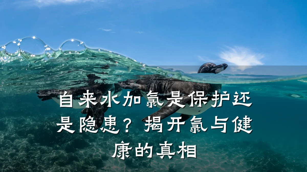 自来水加氯是保护还是隐患?揭开氯与健康的真相
