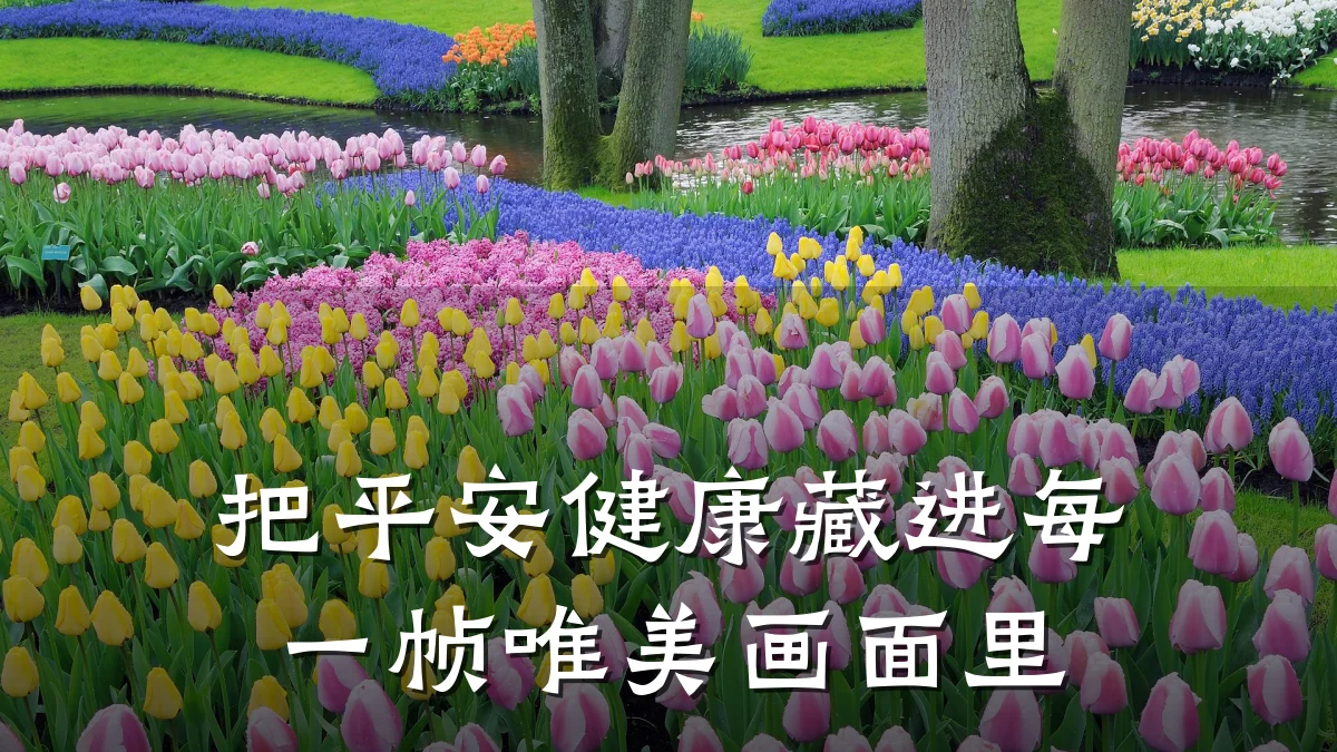 把平安健康藏进每一帧唯美画面里