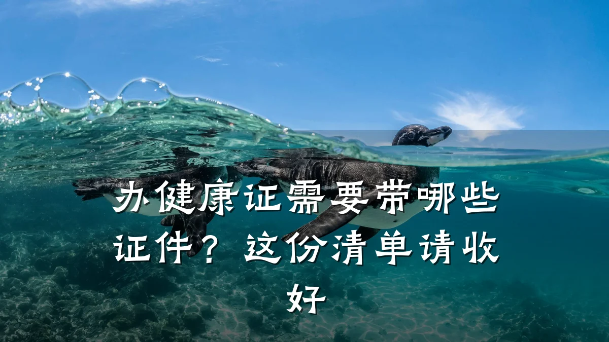 办健康证需要带哪些证件?这份清单请收好