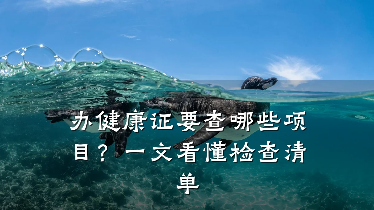 办健康证要查哪些项目?一文看懂检查清单