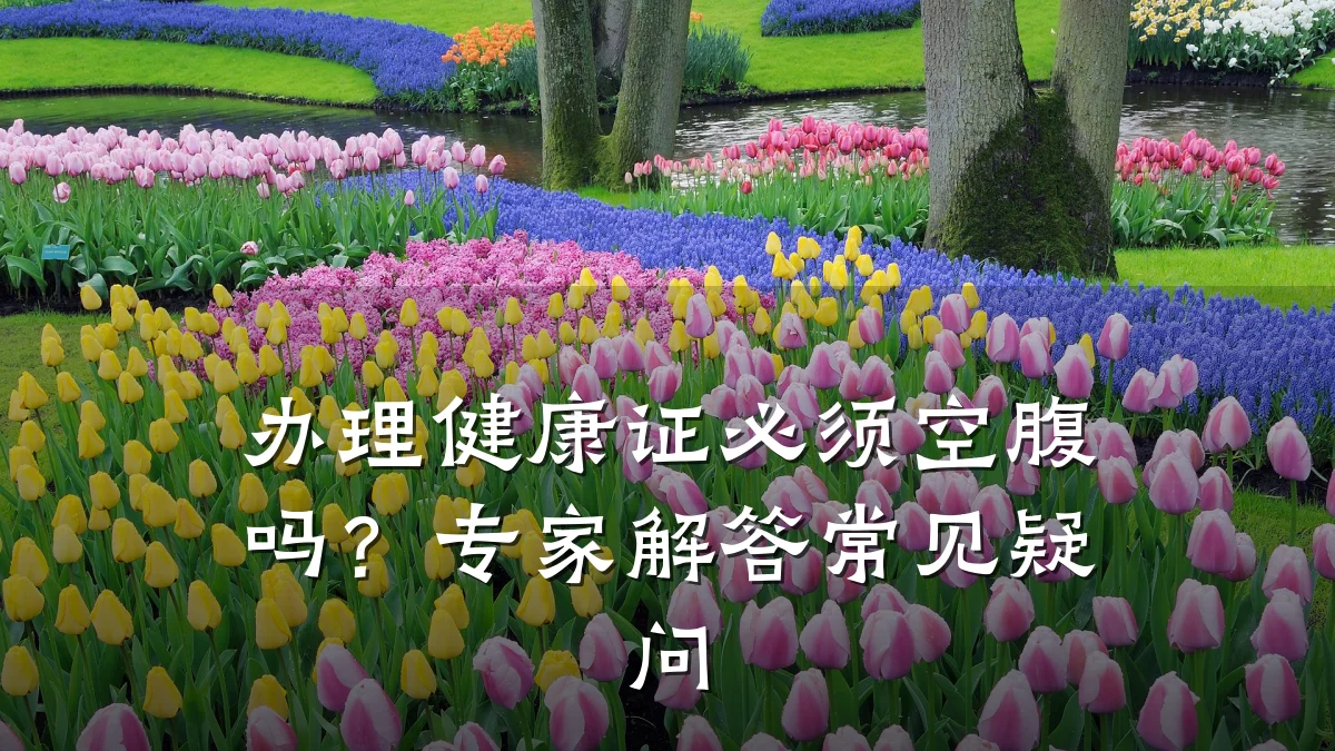 办理健康证必须空腹吗?专家解答常见疑问