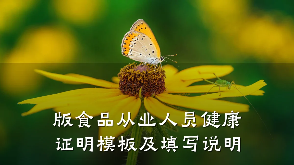 版食品从业人员健康证明模板及填写说明
