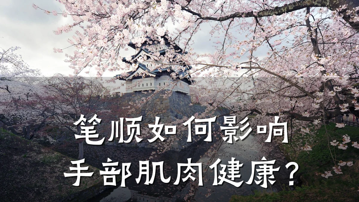 笔顺如何影响手部肌肉健康?