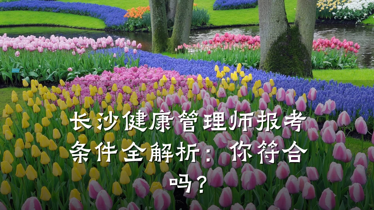 长沙健康管理师报考条件全解析:你符合吗?