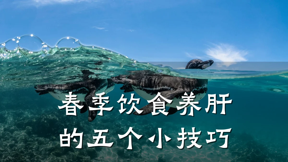 春季饮食养肝的五个小技巧