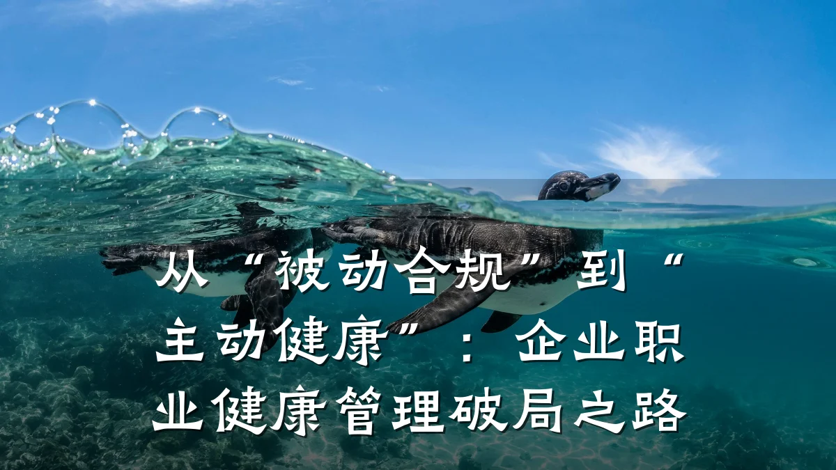 从“被动合规”到“主动健康”:企业职业健康管理破局之路