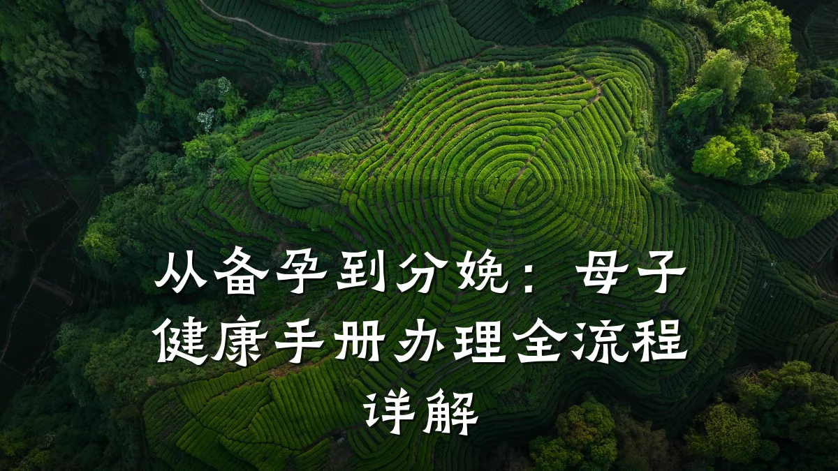 从备孕到分娩:母子健康手册办理全流程详解