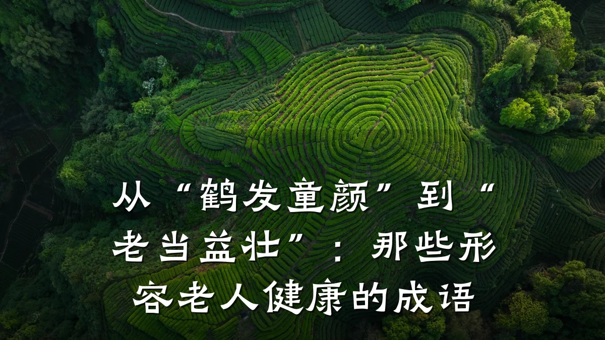从“鹤发童颜”到“老当益壮”:那些形容老人健康的成语
